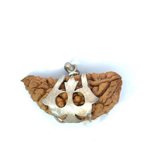 1 Mukhi Vedic Gemstones Trishul Silver Locket