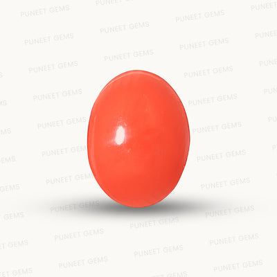 Red Coral (Moonga)