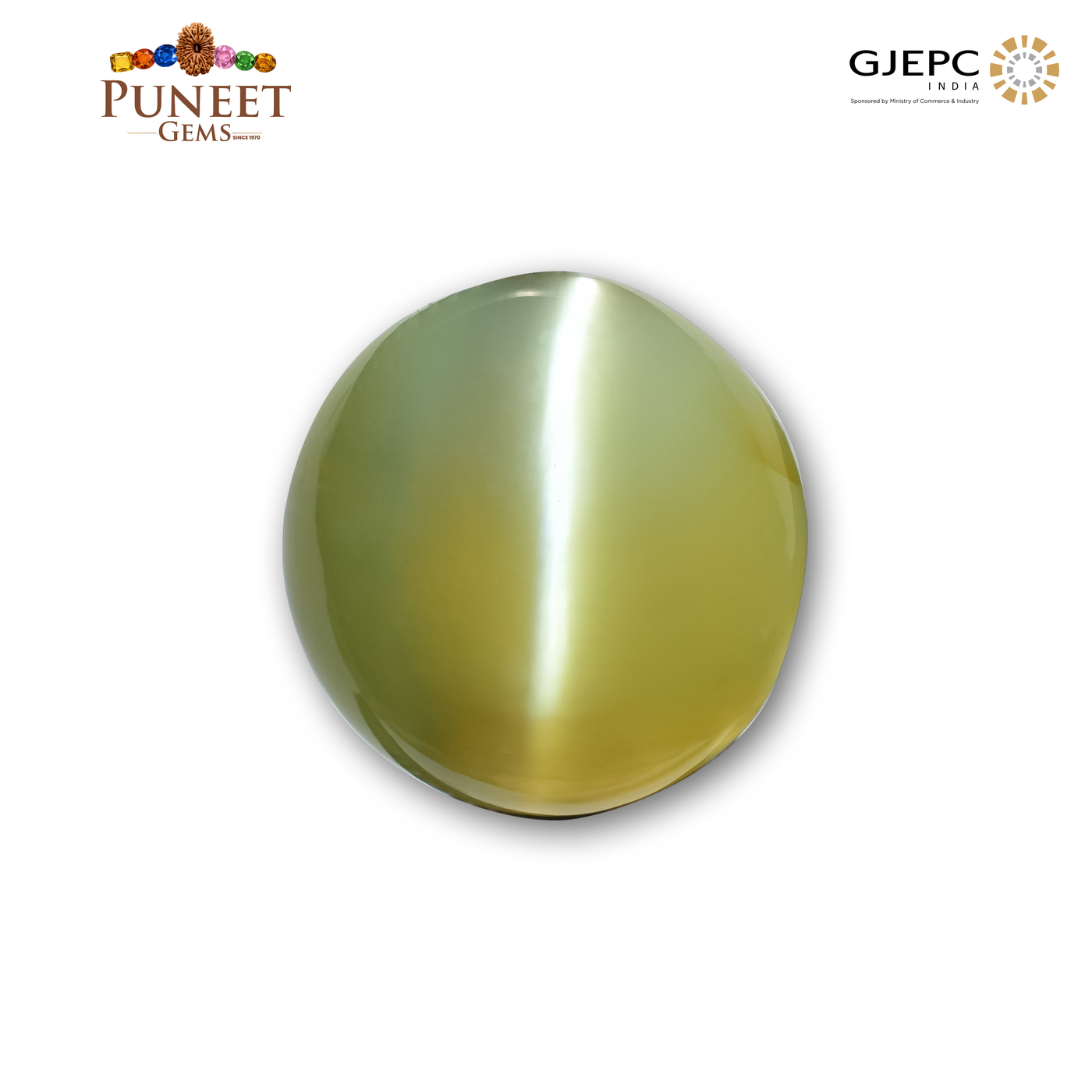 Natural Cat’s Eye Gemstone (Lehsunia) – 10.55 CT Lab Tested