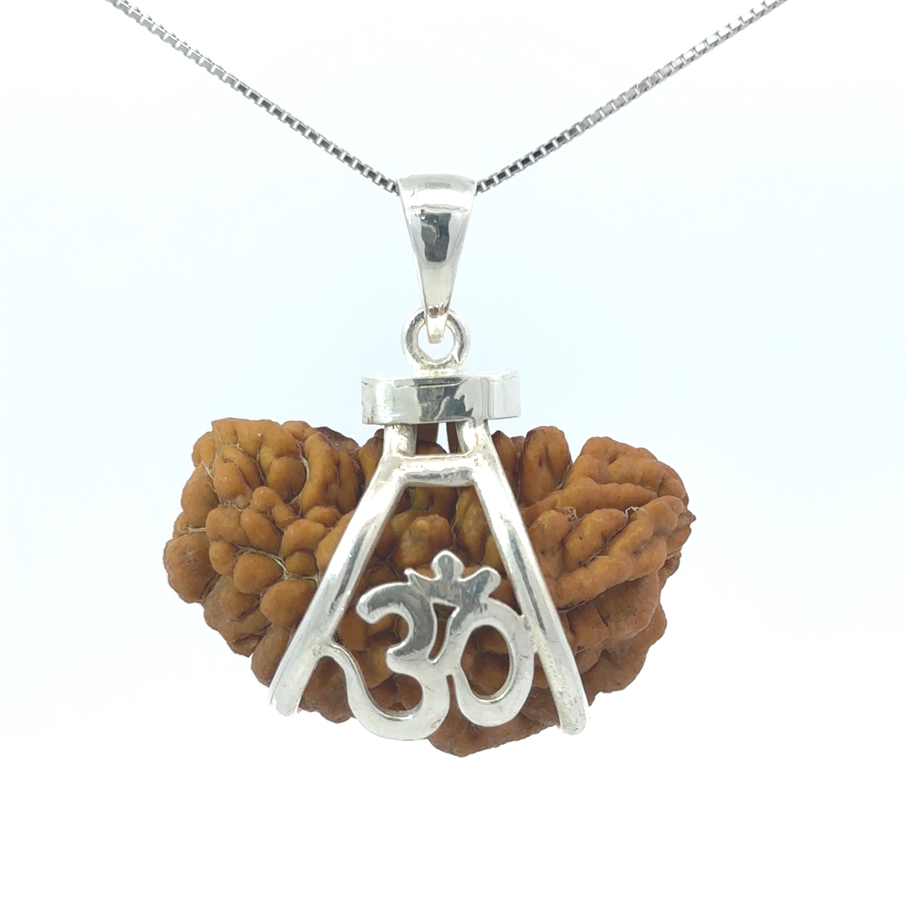 1 Mukhi Vedic Gemstones Silver Pendant Om – Premium Spiritual Jewellery